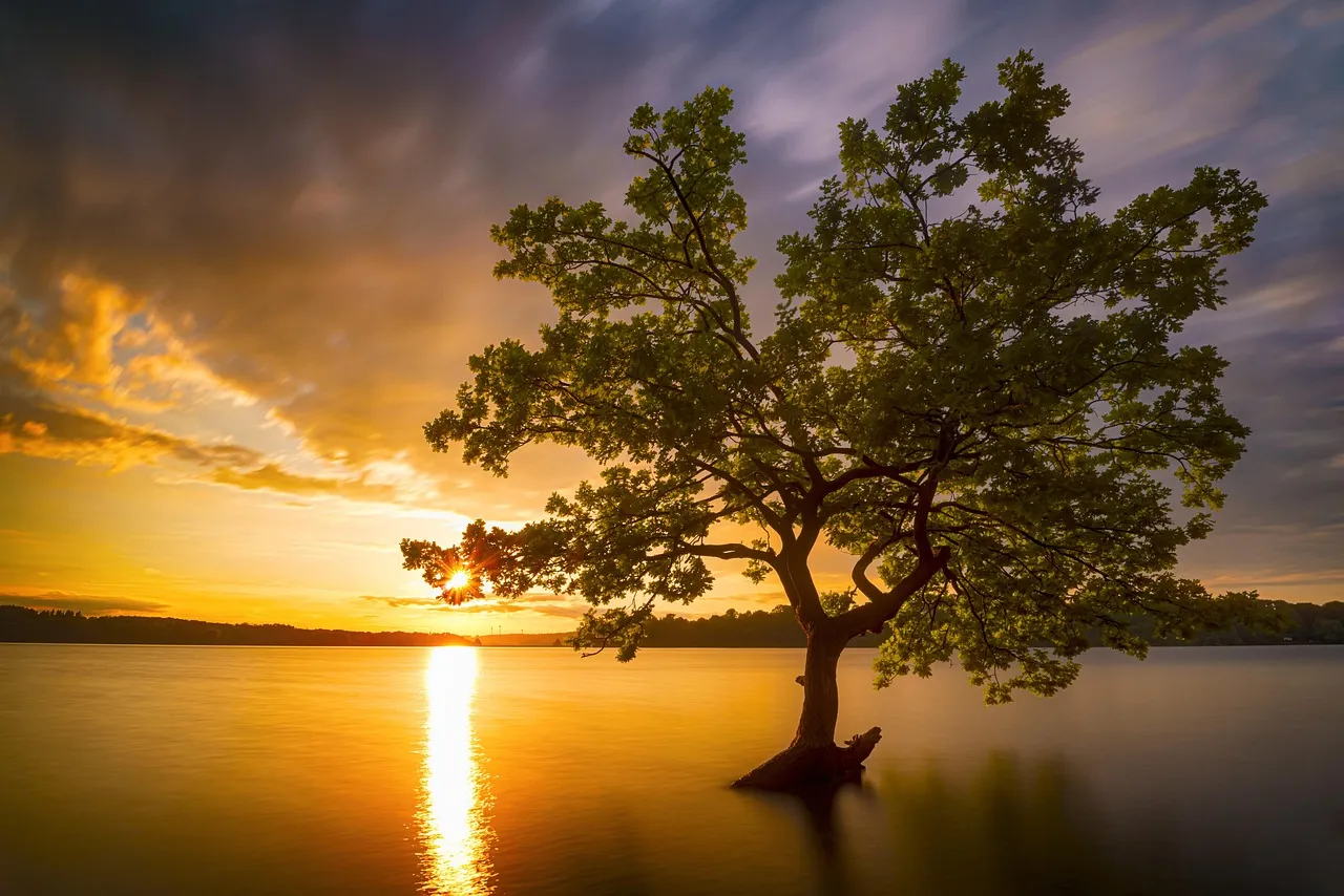 Lake Havasu Desert Landscape
