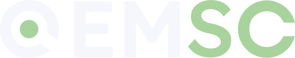 EM Search Consulting